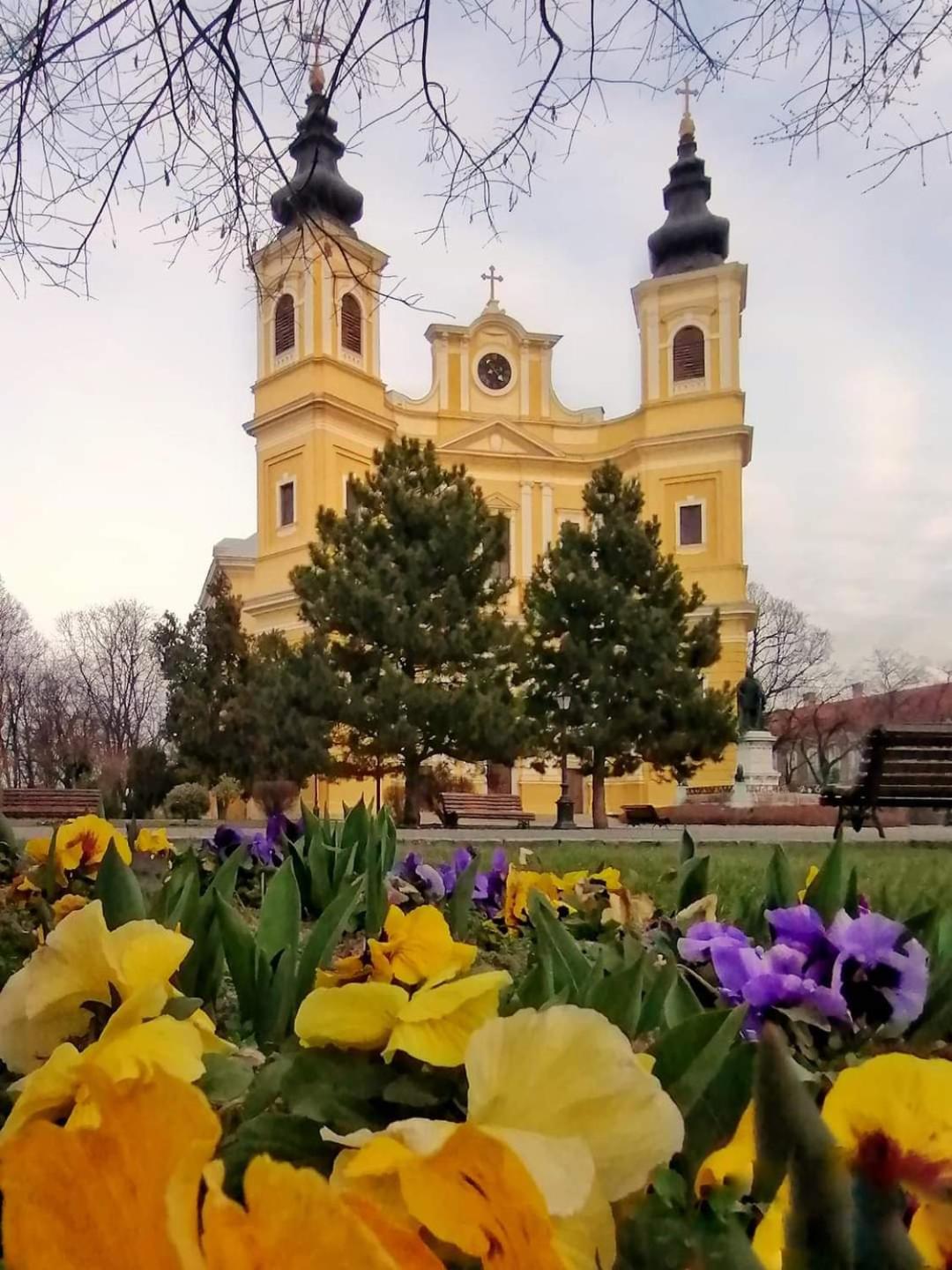 Appartement Alia à Oradea Extérieur photo